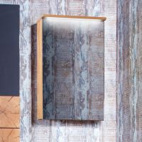 Товар: Зеркальный шкаф Бриклаер Форест 50 4627125414701 с подсветкой Дуб золотой Антрацит - фото 2 Зеркальный шкаф Бриклаер Форест 50 4627125414701 с подсветкой Дуб золотой Антрацит — фото 2, Мебель для ванной