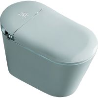 Унитаз биде Timo TE-741 с сиденьем Микролифт — фото 1, Умные унитазы