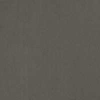 Обои Bernardo Bartalucci Legend Флизелин (1,06*10) Серый, Однотонные арт-5068-9 — фото 2, Обои