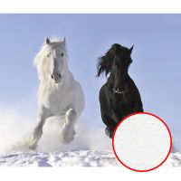 Фреска Ortograf Животные 3093 Фактура бархат FX Флизелин (3,2*2,7) Белый/Голубой/Черный, Животные — фото 1, Фрески