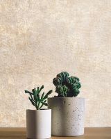 Товар: Обои Prima Italiana Volare 80486 Винил на флизелине (1,06*10) Бежевый, Штукатурка - фото 2 Обои Prima Italiana Volare 80486 Винил на флизелине (1,06*10) Бежевый, Штукатурка — фото 2, Обои для стен