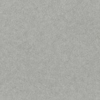 Обои RASCH Factory Style 947427 Винил на флизелине (1,06*10,05) Серый, Однотонный — фото 1, Обои для стен