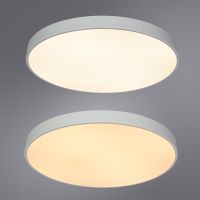 Потолочный светильник Artelamp Arena Прозрачный Белый арт-A2671PL-1WH — фото 4, Накладные светильники