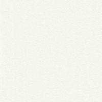 Обои AS Creation Original View 35866-3 Винил на флизелине (0,53*10,05) Белый, Штукатурка/Однотонные — фото 1, Обои для стен