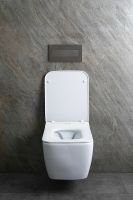 Унитаз Allen Brau Liberty 2 4.33007.20 подвесной Белый без сиденья — фото 41, Подвесные унитазы