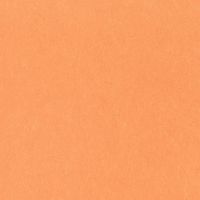 Обои Bernardo Bartalucci Legend 5068-59 Флизелин (1,06*10) Оранжевый, Однотонные — фото 1, Обои для стен