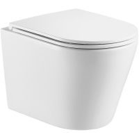 Унитаз WeltWasser Salzbach 043 GL-WT 10000010281 подвесной с сиденьем Микролифт — фото 1, Подвесные унитазы