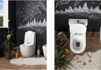 Товар: Чаша унитаза-компакта Aquanet Cetus C1 Rimless 00203342 без бачка, с сиденьем Микролифт - фото 8 Чаша унитаза-компакта Aquanet Cetus C1 Rimless 00203342 без бачка, с сиденьем Микролифт — фото 8, Унитазы