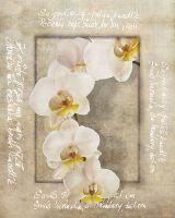 Товар: Фреска Ortograf Цветы 4089 Фактура бархат FX Флизелин (2*2,5) Бежевый/Белый, Цветы/Надписи - фото 2 Фреска Ortograf Цветы 4089 Фактура бархат FX Флизелин (2*2,5) Бежевый/Белый, Цветы/Надписи — фото 2, Фрески