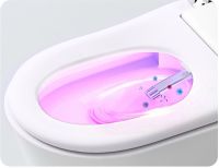 Унитаз биде Timo TE-741 с сиденьем Микролифт — фото 13, Умные унитазы