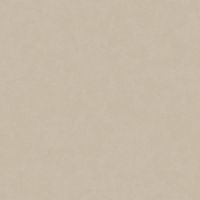 Обои LOYMINA Hygge Флизелин (1*10,05) Серый, Штукатурка арт-Hg6 002 — фото 1, Обои для стен