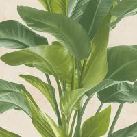 Обои AS Creation Global Cities 38039-2 Винил на флизелине (1,06*10,05) Зеленый/Бежевый, Листья — фото 1, Обои для стен