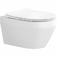 Унитаз Aquatek Лея AQ1199-00 подвесной с сиденьем Микролифт — фото 1, Подвесные унитазы