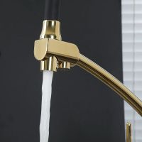 Смеситель для кухни Gappo G4398-13 Золото Черный — фото 7, Смесители для кухни