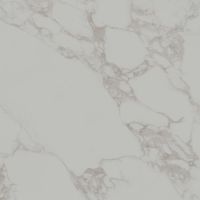 Керамогранит Kerama Marazzi Монте тиберио серый светлый матовый обрезной SG654420R 60х60 см — фото 4, Керамогранит