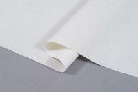 Обои Артекс Selena 10837-02 Винил на флизелине (1,06*10,05) Белый, Штукатурка — фото 6, Обои для стен