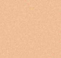 Обои LOYMINA Shade SD3 003 Винил на флизелине (1*10,05) Оранжевый, Штукатурка — фото 2, Обои для стен