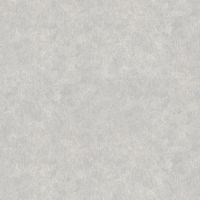 Обои AS Creation Global Spots 38015-5 Винил на флизелине (1,06*10,05) Серебряный, Штукатурка — фото 1, Обои для стен