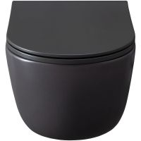 Унитаз Allen Brau Priority 4.31002.AN подвесной Антрацит без сиденья — фото 9, Унитазы