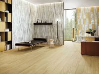 Керамогранит Italon Skyfall Rovere Nat Ret 610010001870 20х160 см — фото 2, Керамогранит