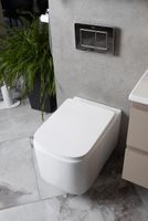 Унитаз Boheme Mane 970-SET-W подвесной Белый глянцевый с сиденьем Микролифт — фото 6, Унитазы