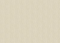 Обои Zambaiti Parati Trussardi VII 18904 Винил на флизелине (0,7*10,05) Бежевый, Абстракция/Листья — фото 2, Обои для стен