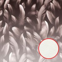 Фреска Ortograf Levity 33364 Фактура флок FLK Флизелин (2,7*2,7) Коричневый, Перья — фото 1, Фрески