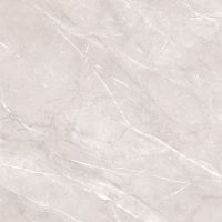 Керамогранит Alma Ceramica Pulpis GFU04PLP07R 60х60 см — фото 1, Керамогранит