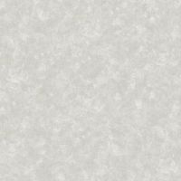 Обои Bruno Zoff Platinum 60104-8 Фольга на флизелине (1,06*10,05) Серый, Штукатурка — фото 1, Обои для стен