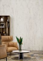 Товар: Керамогранит Tagina Patagonia Bianco Luc Ret 125101 60х120 см - фото 2 Керамогранит Tagina Patagonia Bianco Luc Ret 125101 60х120 см — фото 2, Керамогранит