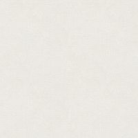 Обои AS Creation Accent 38485-2 Винил на флизелине (1,06*10,05) Белый, Абстракция — фото 1, Обои для стен