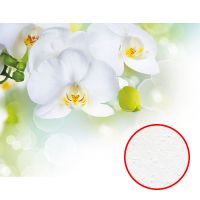 Фреска Ortograf Цветы 3611 Фактура бархат FX Флизелин (2,6*2) Белый/Зеленый, Цветы — фото 1, Фрески