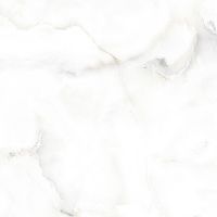 Керамогранит Absolut Gres Dove Onix AB 1042G 60x60 см — фото 1, Керамогранит