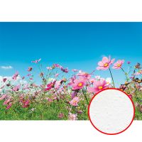 Фреска Ortograf Цветы 5517 Фактура бархат FX Флизелин (3,9*2,7) Голубой/Зеленый/Розовый, Цветы — фото 1, Фрески