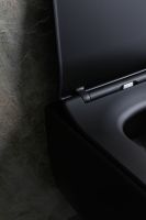 Унитаз Allen Brau Liberty 2 4.33007.31 подвесной Черный матовый без сиденья — фото 42, Подвесные унитазы