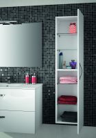 Шкаф пенал Jacob Delafon Ola 35 EB396-N14 подвесной Серый антрацит — фото 2, Пеналы для ванной комнаты