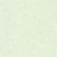Товар: Обои Caselio Beton 2 101487042 Винил на флизелине (0,53*10,05) Зеленый, Штукатурка - фото 1 Обои Caselio Beton 2 101487042 Винил на флизелине (0,53*10,05) Зеленый, Штукатурка — фото 1, Обои для стен