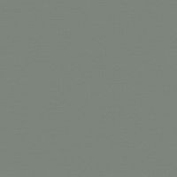 Обои LOYMINA Equator QTR8 006/1 Флизелин (1*10,05) Серый/Зеленый, Однотонные/Рогожка — фото 1, Обои для стен