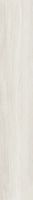 Керамогранит Dado Ceramica Ikon Birch 303801 20х122 см — фото 1, Керамогранит