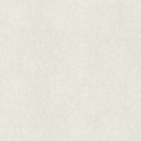 Обои RASCH Raymond 957303 Винил на флизелине (1,06*10,05) Белый, Штукатурка — фото 1, Обои для стен