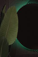 Товар: Зеркало Silver Mirrors Savanna-RGB 77 LED-00002604 с подсветкой со Smart-управлением и диммером - фото 6 Зеркало Silver Mirrors Savanna-RGB 77 LED-00002604 с подсветкой со Smart-управлением и диммером — фото 6, Зеркала в ванную комнату