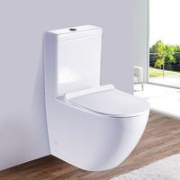 Унитаз компакт Esbano Ripoll-C Белый с бачком и сиденьем Микролифт арт-ESUNRIPOCW — фото 2, Напольные унитазы