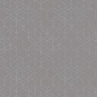 Обои AS Creation Podium 37905-2 Винил на флизелине (1,06*10,05) Серый, Геометрия — фото 1, Обои для стен