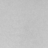 Обои Andrea Rossi Cavolli 54422-5 Винил на флизелине (1,06*10,05) Серый, Штукатурка/Однотонные — фото 1, Обои для стен