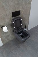 Товар: Унитаз Allen Brau Infinity 4.21011.AN подвесной Антрацит без сиденья - фото 54 Унитаз Allen Brau Infinity 4.21011.AN подвесной Антрацит без сиденья — фото 54, Подвесные унитазы