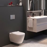 Товар: Унитаз Berges Mascon Rimless 082128 подвесной с сиденьем Микролифт - фото 9 Унитаз Berges Mascon Rimless 082128 подвесной с сиденьем Микролифт — фото 9, Подвесные унитазы