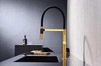Смеситель для кухни Paulmark Leader Le214101-BG Брашированное золото — фото 2, Смесители для кухни
