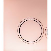 Товар: Клавиша смыва Ceruttispa CR05RG Золото розовое - фото 2 Клавиша смыва Ceruttispa CR05RG Золото розовое — фото 2, Кнопки смыва