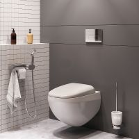 Унитаз AM.PM Sensation FlashClean подвесной с гигиеническим душем и ершиком с сиденьем Микролифт арт-CK30H0904W — фото 3, Подвесные унитазы