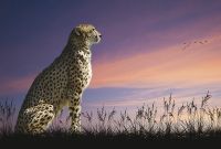 Товар: Фреска Ortograf Животные 5040 Фактура флок FLK Флизелин (4*2,7) Бежевый/Сиреневый, Животные - фото 2 Фреска Ortograf Животные 5040 Фактура флок FLK Флизелин (4*2,7) Бежевый/Сиреневый, Животные — фото 2, Фрески